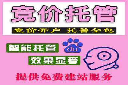 成功案例：竞价推广助力中小企业突破困境